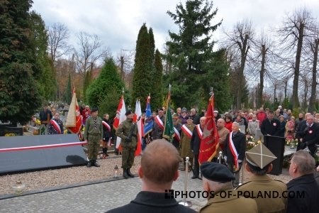 Independence Day  in Żary 