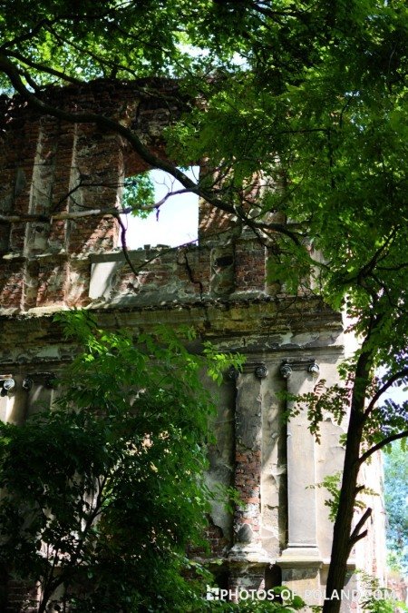  Otyń: Ruiny zamku gotyckiego