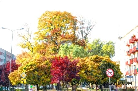 Autumn in Żary 