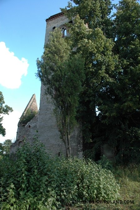 Złotnik: ruina kościoła gotyckiego